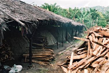 11 Thailand 2002 F1060013 Khao Lak Ausflug Khao Sok_478